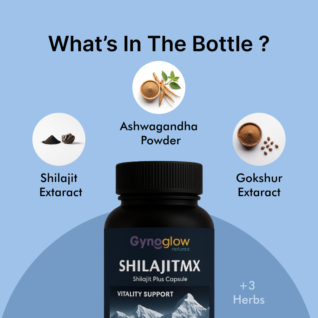 Shilajit MX – Pure Himalayan Energy & Vitality Booster